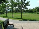 erumpark.jog.jpg